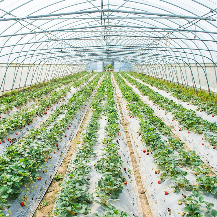 Landwirtschaft